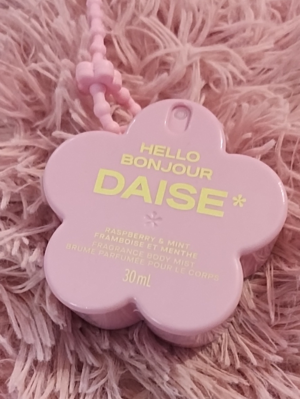 DAISE Hello Bonjour